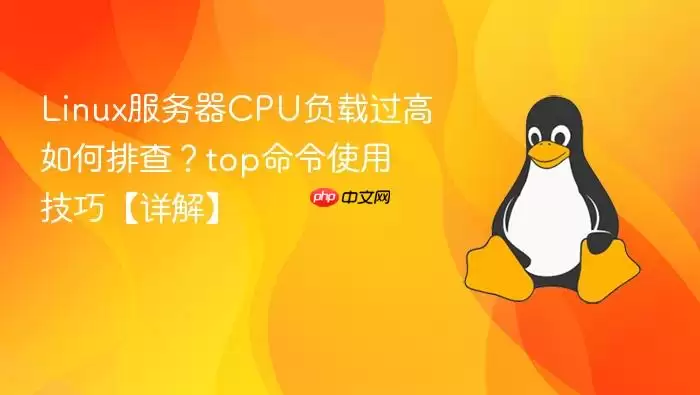 Linux服务器CPU负载过高如何排查？top命令使用技巧【详解】
