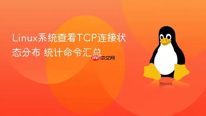 linux系统查看tcp连接状态分布 统计命令汇总