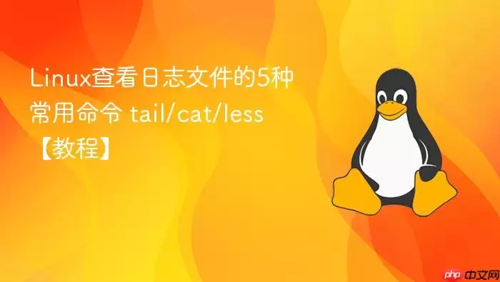 Linux查看日志文件的5种常用命令 tail/cat/less【教程】
