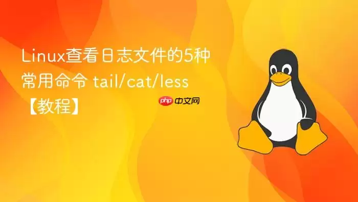 linux查看日志文件的5种常用命令 tail/cat/less【教程】