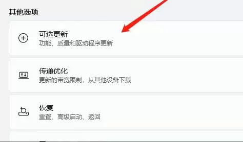 在高级选项中点击可选更新