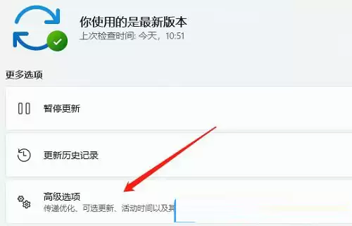 点击Windows更新下的高级选项
