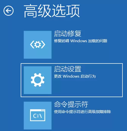 在高级选项中选择启动设置