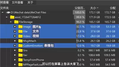WizTree如何查找视频文件-WizTree怎样按类型筛选大体积视频