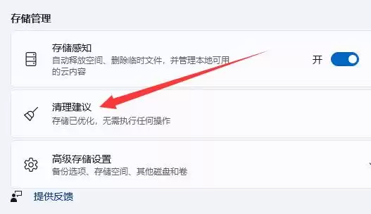 清理建议(存储已优化,无需执行任何操作)