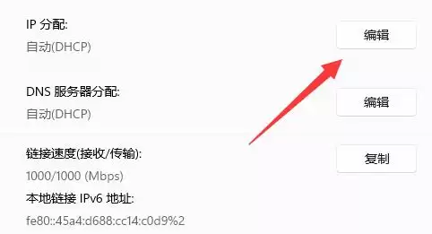 IP 分配