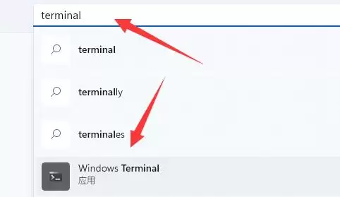 Terminal