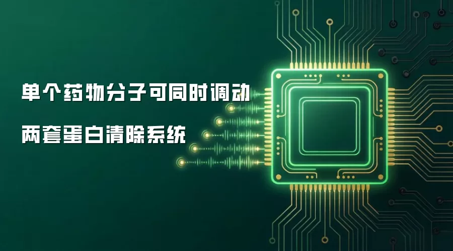 单个药物分子可同时调动两套蛋白清除系统