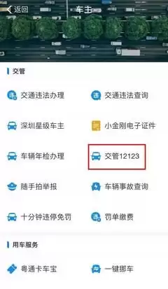 如何通过交管12123进行举报