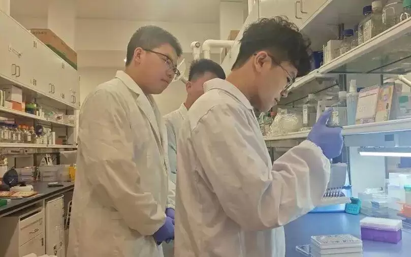 百团百项｜破界共融、智算赋能 ，上海交叉研究团队探索重建病毒入侵关键动态过程