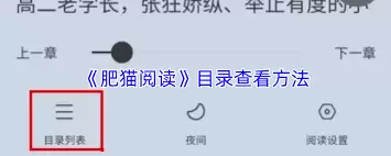 肥猫阅读目录在哪里