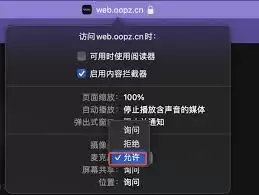 如何开启oopz网页麦克风权限