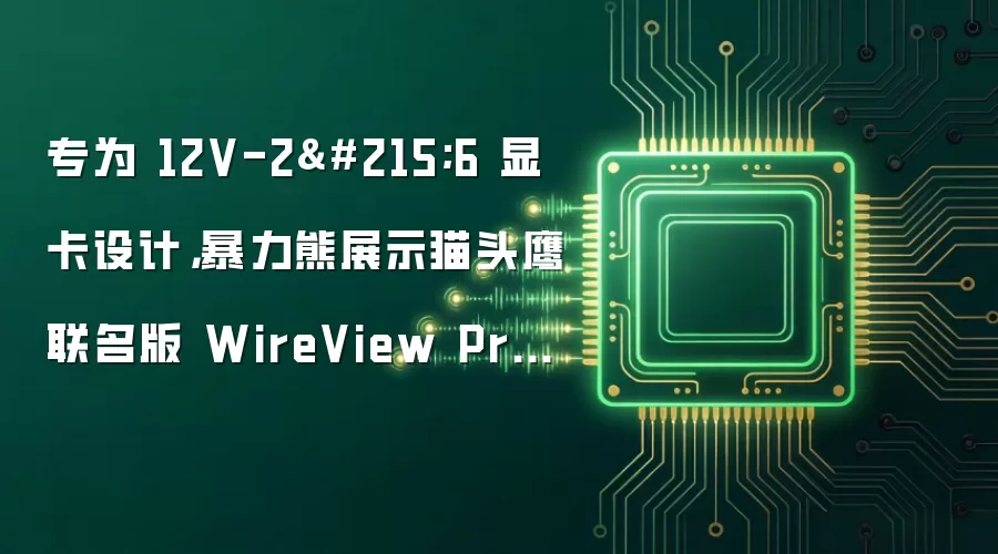 专为 12V-2×6 显卡设计,暴力熊展示猫头鹰联名版 WireView Pro II GPU 电源监视器