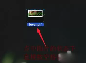 Mac系统如何预览gif动图? 苹果Mac查看gif图片的技巧
