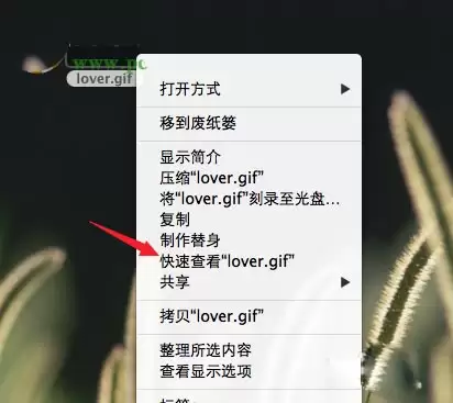 Mac系统如何预览gif动图? 苹果Mac查看gif图片的技巧