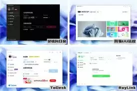 RayLink怎么设置会话水印