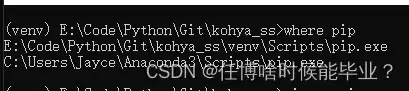 Python直接复制已有的venv虚拟环境以创建新的虚拟环境过程