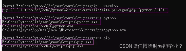 Python直接复制已有的venv虚拟环境以创建新的虚拟环境过程