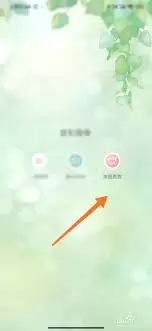 美图秀秀特效无法预览如何解决