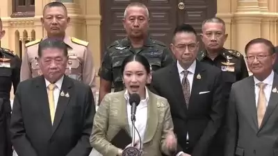 seedance怎么念