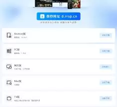 人人视频官网入口网页版是什么