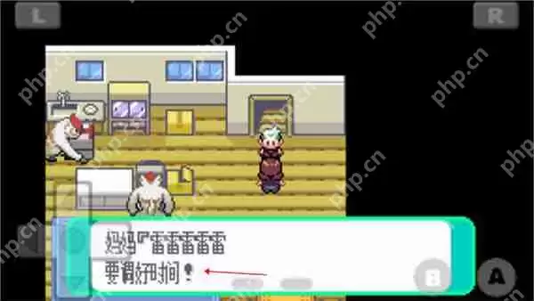 口袋妖怪绿宝石493版设定时间方法攻略