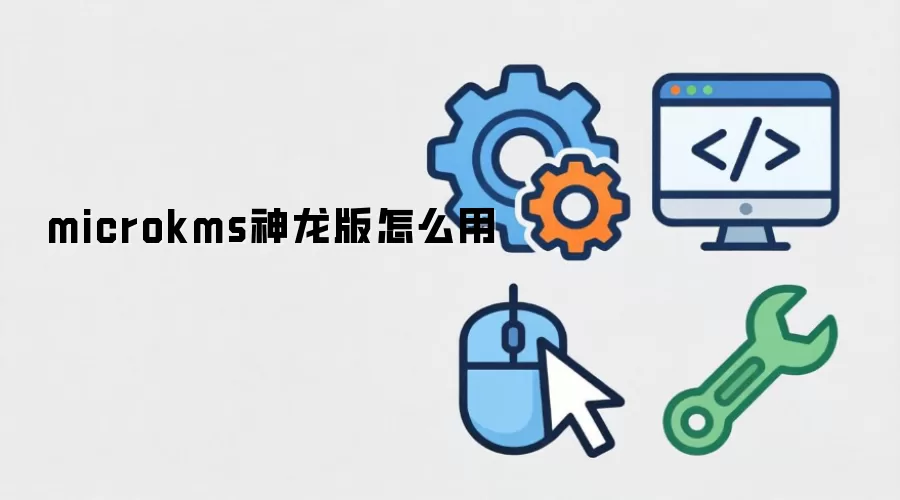 microkms神龙版怎么用