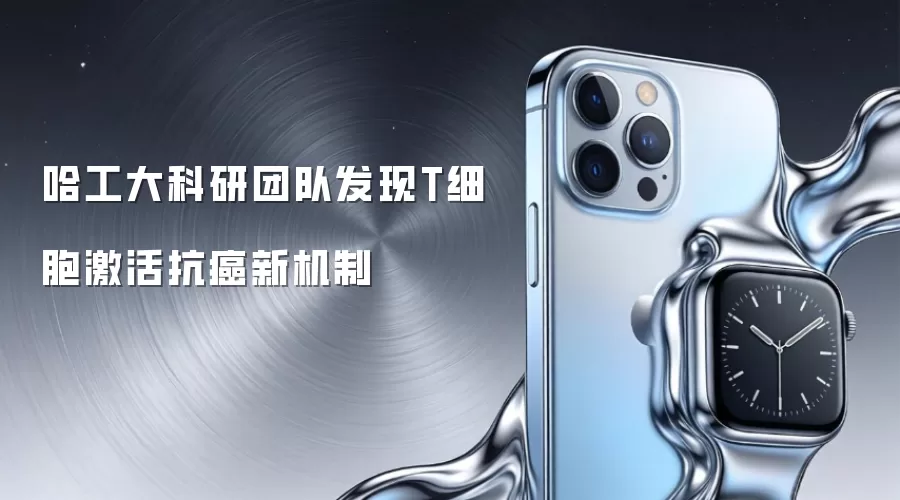 哈工大科研团队发现T细胞激活抗癌新机制