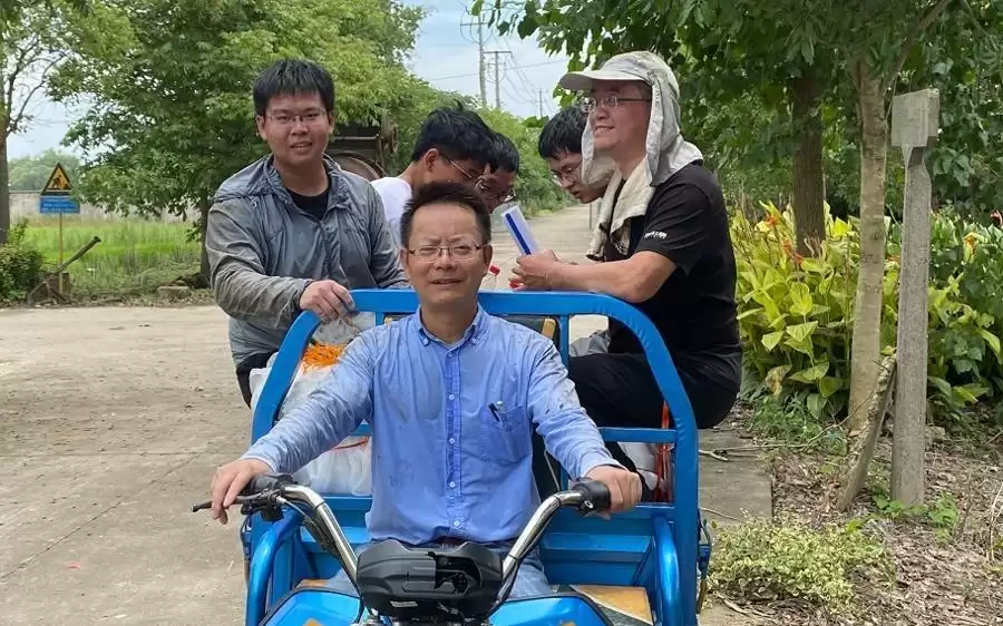 喂猪有望不用进口大豆？中国科学家找到“丢失”的玉米高蛋白基因