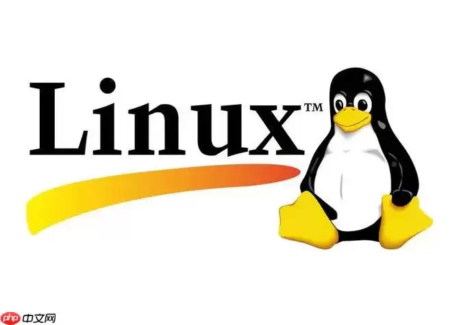 如何解决Linux网络