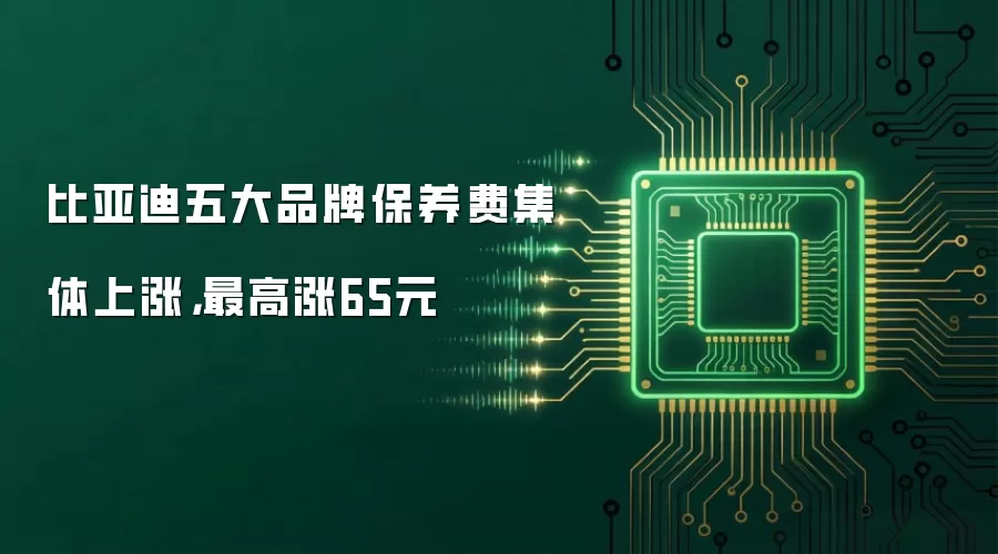比亚迪五大品牌保养费集体上涨，最高涨65元