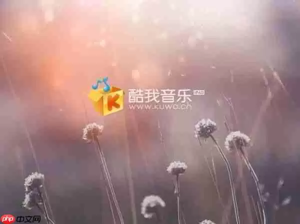 酷我音乐如何k歌 酷我音乐如何开启k歌模式