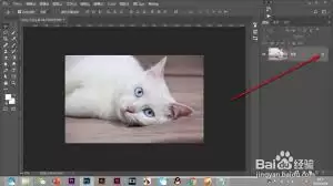 如何添加Photoshop滤镜