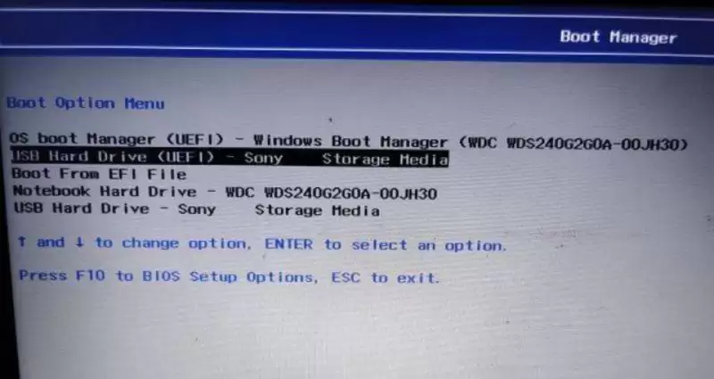 如何从 PC 上的 USB 安装 Windows 11
