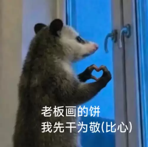 背手负鼠表情包3 背手负鼠表情包3