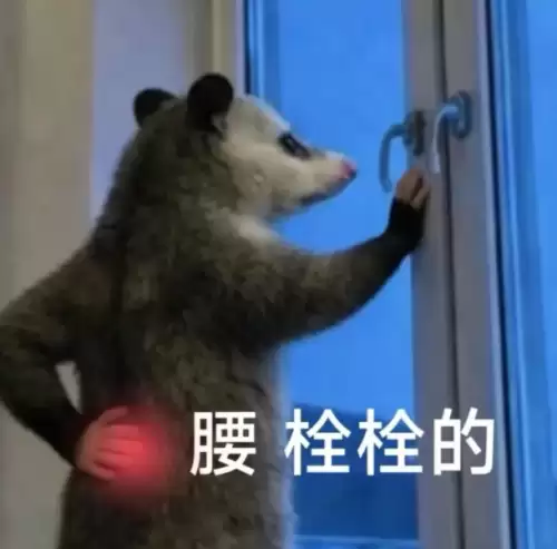 背手负鼠表情包1 背手负鼠表情包1