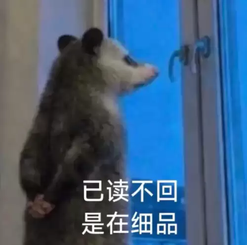 背手负鼠表情包2 背手负鼠表情包2