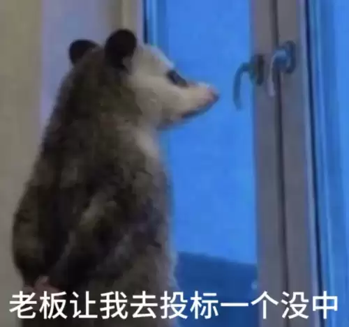 背手负鼠表情包5 背手负鼠表情包5