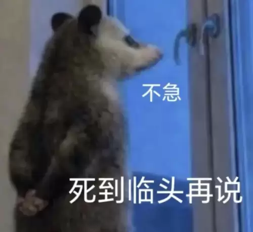 背手负鼠表情包4 背手负鼠表情包4