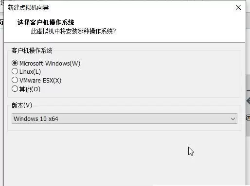 vm虚拟机怎么安装Win11系统?Win11系统安装到vm虚拟机详细图文教程