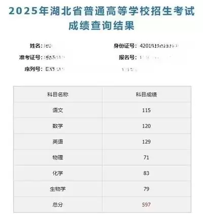 2026湖北高考查分时间
