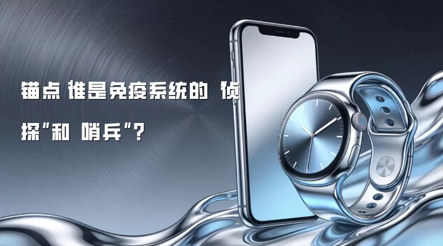 锚点|谁是免疫系统的“侦探”和“哨兵”?