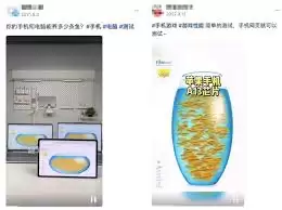 fishbowl养鱼网站入口在哪