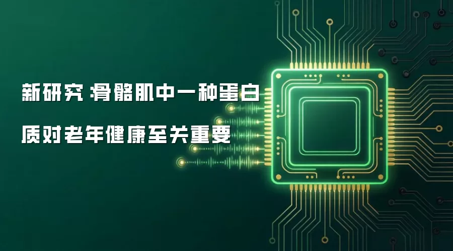 新研究:骨骼肌中一种蛋白质对老年健康至关重要