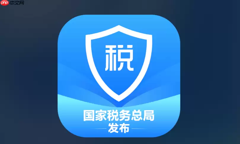 个人所得税查询系统入口 个人纳税记录查询官网入口
