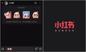 小红书怎么发送私信聊天
