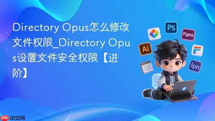 Directory Opus怎么修改文件权限_Directory Opus设置文件安全权限【进阶】