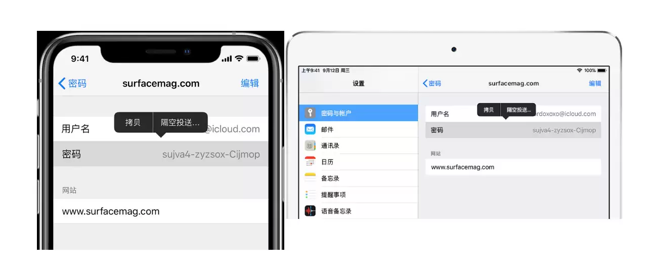 在 iPhone 上管理账户密码的 3 个小技巧 在 iPhone 上管理账户密码的 3 个小技巧