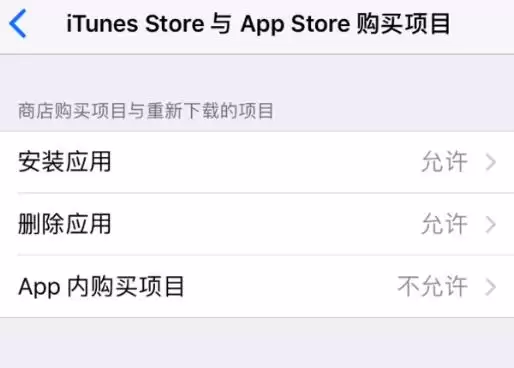 如何在 iPhone 上阻止应用内购项目? 如何在 iPhone 上阻止应用内购项目?