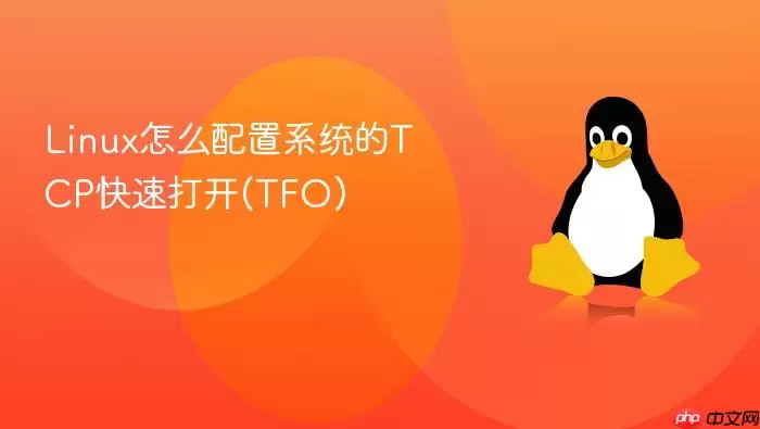 Linux怎么配置系统的TCP快速打开(TFO)